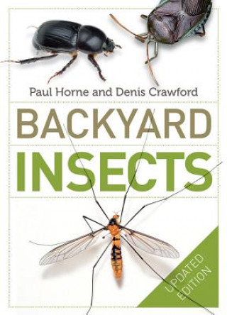 Książka Backyard Insects Updated Edition Paul Horne