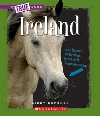 Kniha Ireland Libby Koponen
