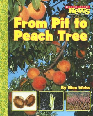 Книга From Pit to Peach Tree Ellen Weiss