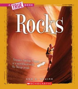 Knjiga Rocks Ann O. Squire