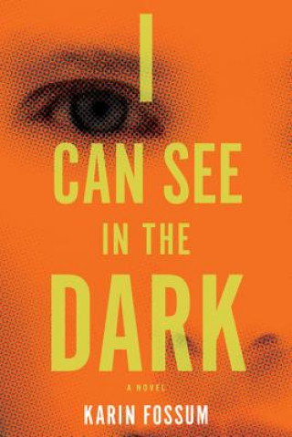 Книга I Can See in the Dark Karin Fossum