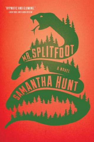 Carte Mr. Splitfoot Samantha Hunt