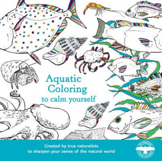 Book Aquatic Coloring to Calm Yourself Houghton Mifflin Harcourt