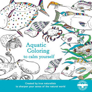 Βιβλίο Aquatic Coloring to Calm Yourself Houghton Mifflin Harcourt