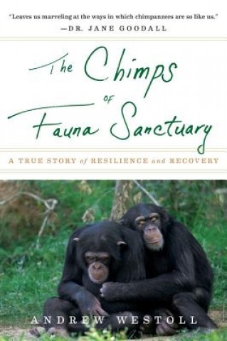 Książka The Chimps of Fauna Sanctuary: A True Story of Resilience and Recovery Andrew Westoll