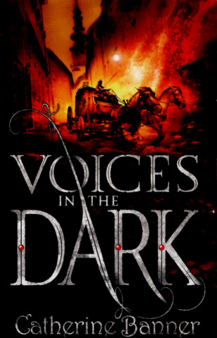 Kniha Voices in the Dark Catherine Banner