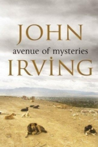 Carte Avenue of Mysteries John Irving