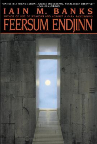 Book Feersum Endjinn Iain M Banks