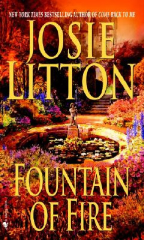 Книга Fountain of Fire Josie Litton