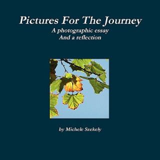 Книга Pictures For The Journey Michele Szekely