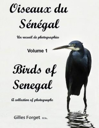 Carte Oiseaux Du S N Gal / Birds of Senegal Gilles Forget D. Sc