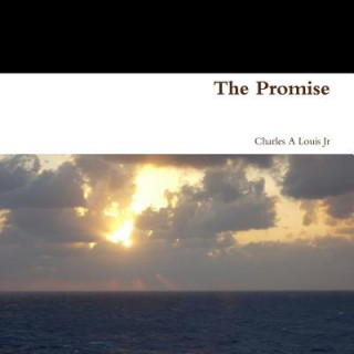 Kniha Promise Charles a. Louis Jr