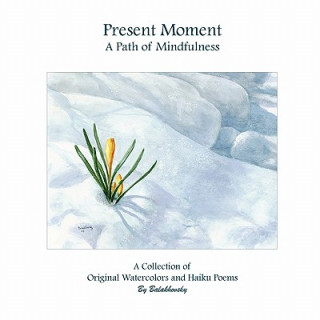 Kniha Present Moment A Path of Mindfulness Beverly Balakhovsky