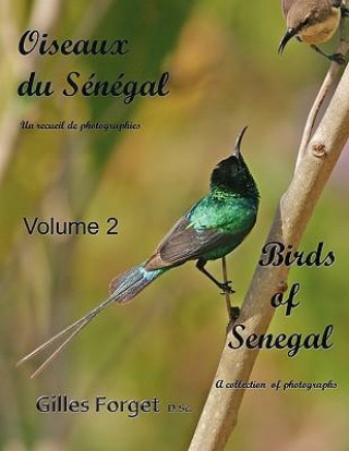 Carte Oiseaux Du S N Gal: Un Recueil de Photographies/ Birds of Senegal: A Collection of Photographs - Volume 2 Gilles Forget D. Sc