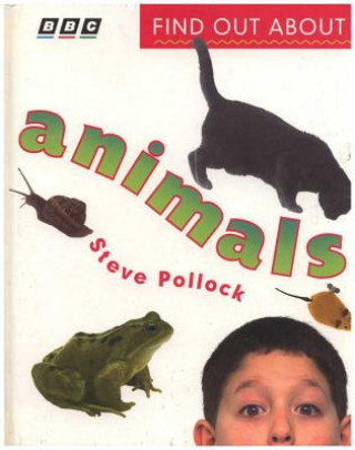 Książka Find Out about Animals Steve Pollock