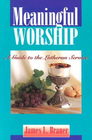 Könyv Meaningful Worship James Leonard Brauer