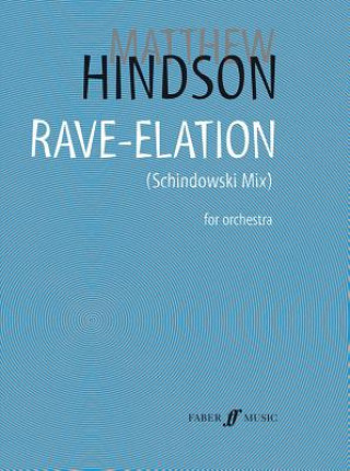 Kniha Rave-elation Matthew Hindson