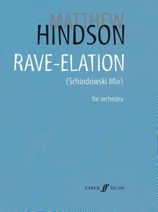 Книга Rave-elation Matthew Hindson