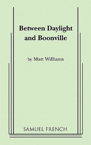 Kniha Between Daylight and Boonville Matt Williams