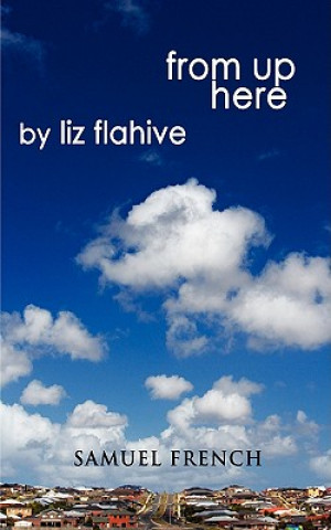 Kniha FROM UP HERE Liz Flahive