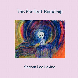 Kniha Perfect Raindrop Sharon Lee Levine
