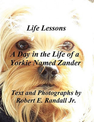 Carte Day in the Life of a Yorkie Named Zander Robert Randall