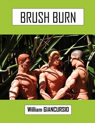 Kniha Brush Burn William Giancursio