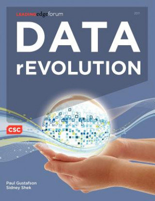 Kniha Data rEvolution Sidney Shek