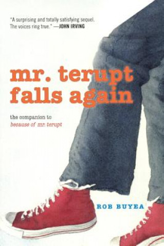 Book Mr. Terupt Falls Again Rob Buyea