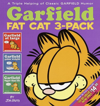 Book Garfield Fat Cat 3-Pack, Volume 1 Jim Davis