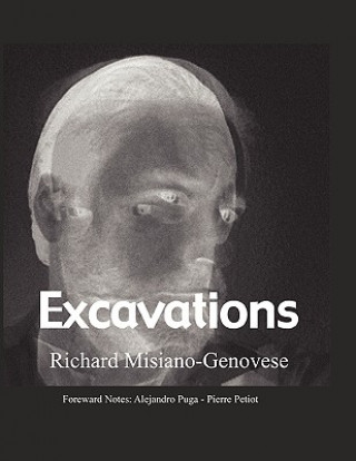 Книга Excavations Richard Misiano-Genovese