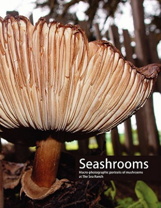 Libro Seashrooms Paul Foeckler