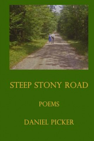 Книга Steep Stony Road Daniel Picker