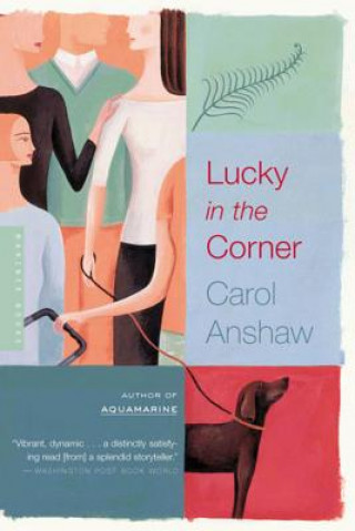 Buch Lucky in the Corner Carol Anshaw