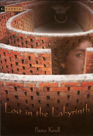 Carte Lost in the Labyrinth Patrice Kindl