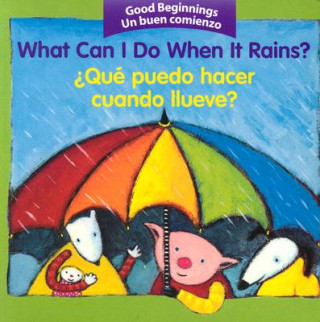 Kniha What Can I Do When It Rains? /  Que puedo hacer cuando llueve? American Heritage Dictionary
