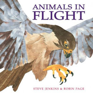 Книга Animals in Flight Steve Jenkins