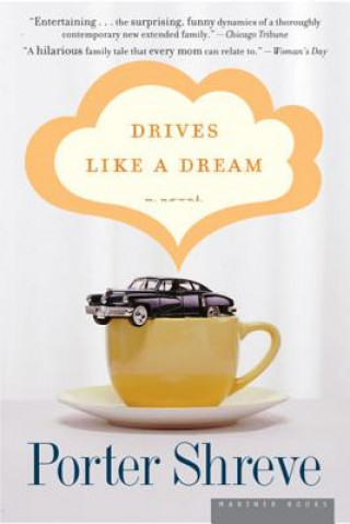 Kniha Drives Like a Dream Porter Shreve