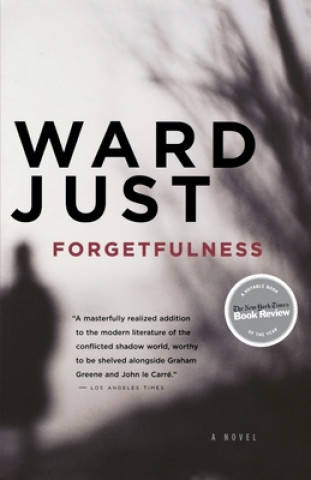 Kniha Forgetfulness Ward Just
