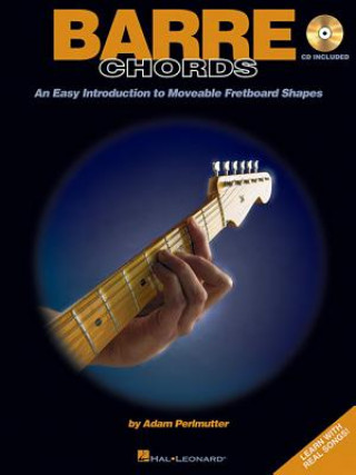 Könyv Barre Chords: An Easy Introduction to Moveable Fretboard Shapes Adam Perlmutter