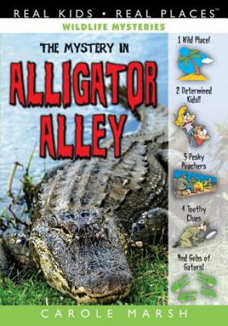 Könyv The Mystery in Alligator Alley Carole Marsh