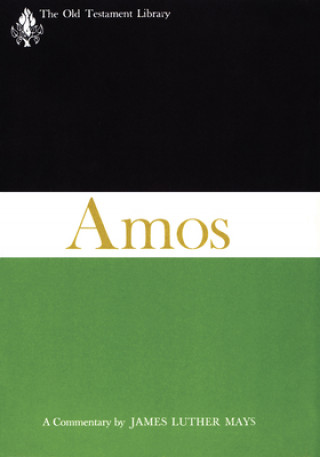 Carte The Book of Amos (Otl) Jorg Jeremias