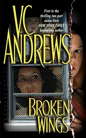 Könyv Broken Wings V. C. Andrews