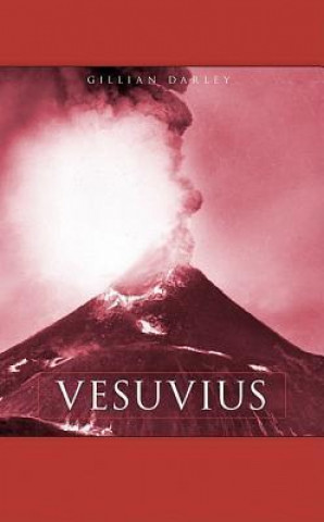 Knjiga Vesuvius Gillian Darley