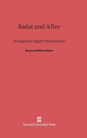 Kniha Sadat and After Raymond William Baker