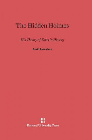Książka Hidden Holmes David Rosenberg