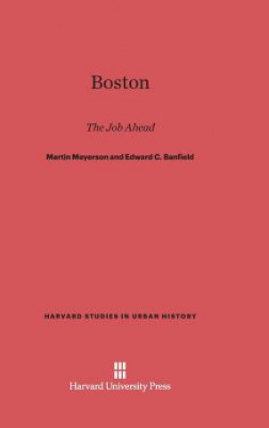 Kniha Boston Martin Meyerson
