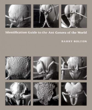Könyv Identification Guide to the Ant Genera of the World Barry Bolton