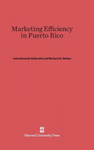 Kniha Marketing Efficiency in Puerto Rico John Kenneth Galbraith