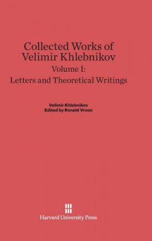 Kniha Letters and Theoretical Writings Charlotte Douglas
